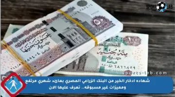 شهادة ادخار الخير من البنك الزراعي المصري بعائد شهري مرتفع ومميزات غير مسبوقة.. تعرف عليها الآن